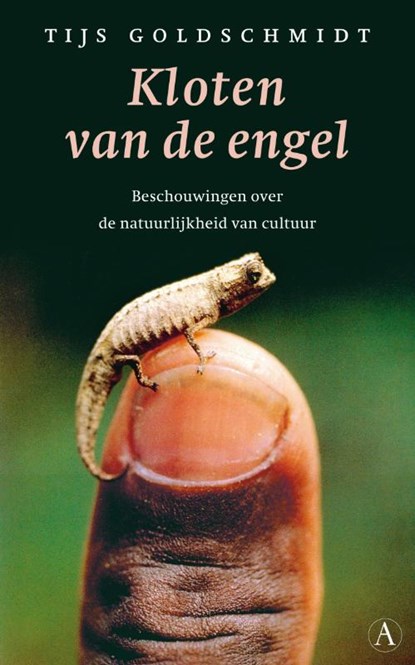 Kloten van de engel, T. Goldschmidt - Paperback - 9789025366926