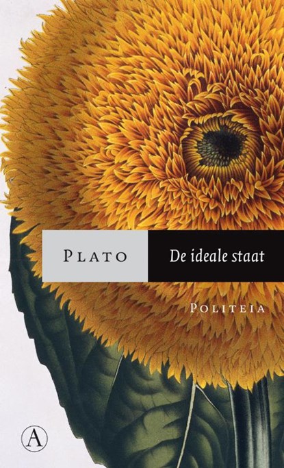 De ideale staat, Plato - Paperback - 9789025367381
