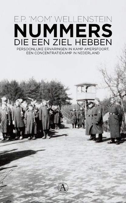 Nummers die een ziel hebben, E.P. Mom Wellenstein - Ebook - 9789025370497