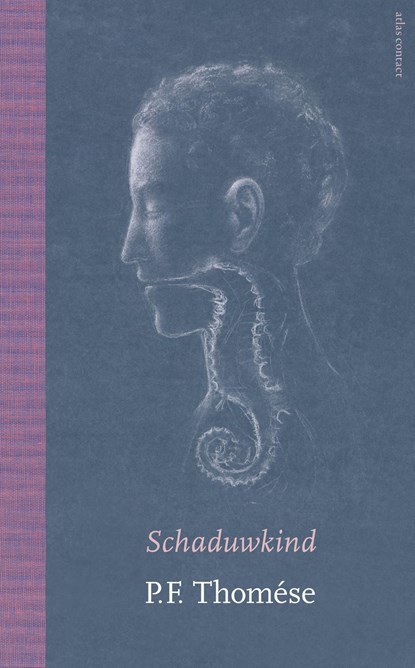 Schaduwkind, P.F. Thomése - Ebook - 9789025433376