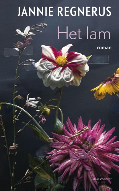 Het lam, Jannie Regnerus - Paperback - 9789025436407