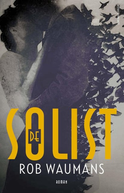 De solist, Rob Waumans - Paperback - 9789025452650