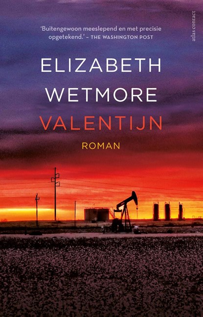 Valentijn, Elizabeth Wetmore - Ebook - 9789025454005