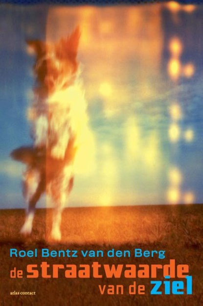 De straatwaarde van de ziel, Roel Bentz van den Berg - Paperback - 9789025459857