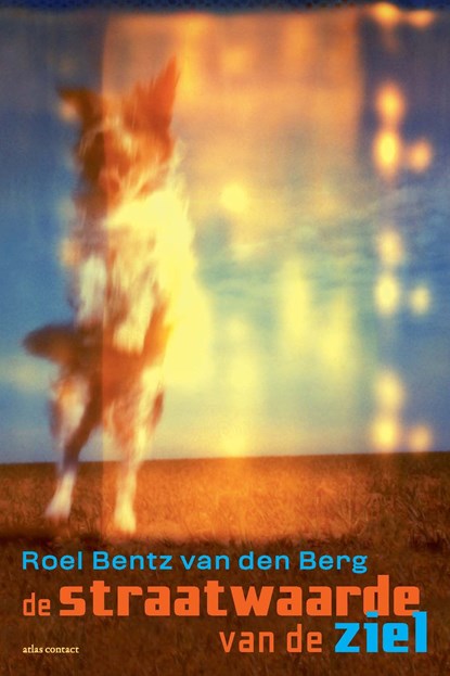 De straatwaarde van de ziel, Roel Bentz van den Berg - Ebook - 9789025459864