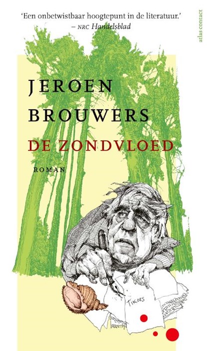 De zondvloed, Jeroen Brouwers - Paperback - 9789025462369