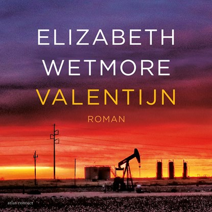 Valentijn, Elizabeth Wetmore - Luisterboek MP3 - 9789025471866