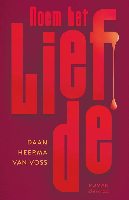 Noem het liefde, Daan Heerma van Voss - Ebook - 9789025473648