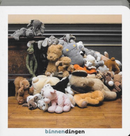 Binnendingen, Matthijs Immink ; Nathalie Faber - Paperback - 9789025743734