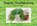 Rupsje Nooitgenoeg, Eric Carle - Gebonden - 9789025754990