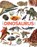 Het dinosaurusboek, John Woodward - Gebonden - 9789025770242