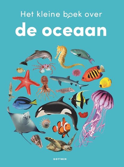 Het kleine boek over de oceaan, Samantha Gray - Gebonden - 9789025782252