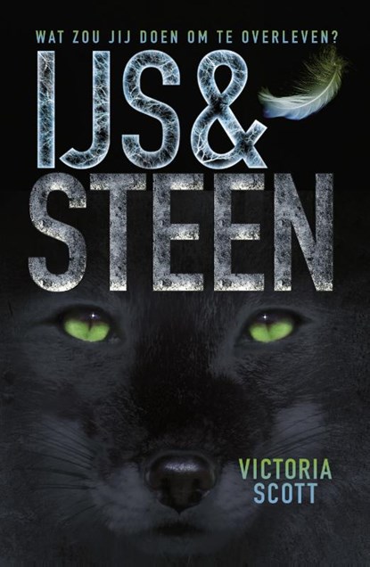 IJs en steen, Victoria Scott - Paperback - 9789025868086