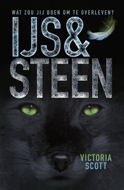 IJs en steen, Victoria Scott - Ebook - 9789025868345