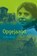 Opgejaagd, Lydia Rood - Paperback - 9789025879334