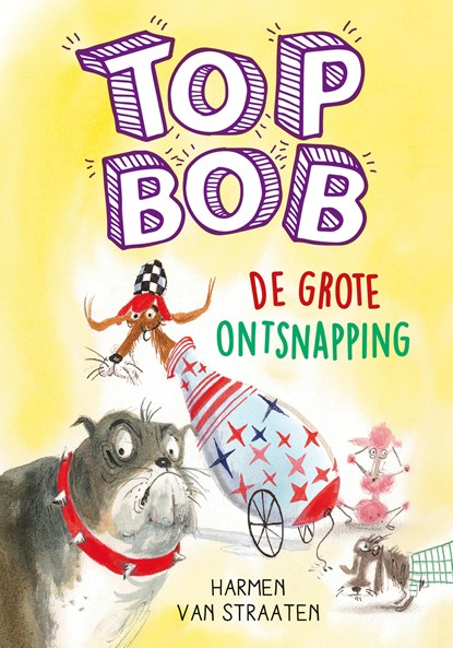 Top Bob De grote ontsnapping, Harmen van Straaten - Ebook - 9789025880248