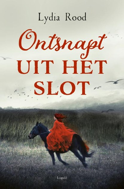 Ontsnapt uit het slot, Lydia Rood - Paperback - 9789025882150