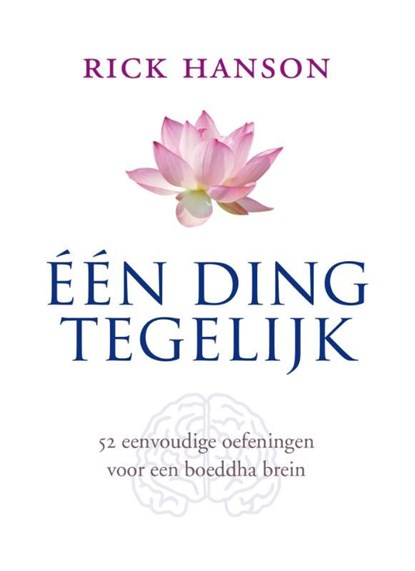 Een ding tegelijk, Rick Hanson - Ebook - 9789025901974