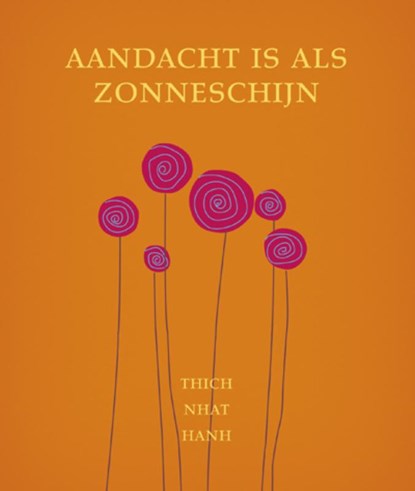 Aandacht is als zonneschijn, Thich Nhat Hanh - Gebonden - 9789025902131