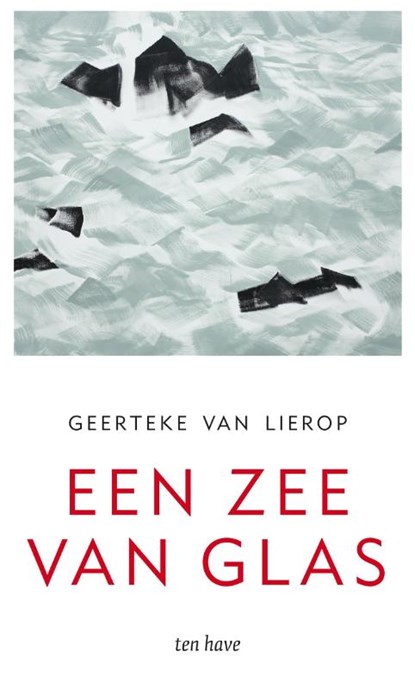 Een zee van glas, Geerteke van Lierop - Paperback - 9789025906665