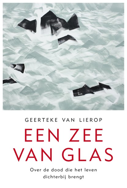 Een zee van glas, Geerteke van Lierop - Luisterboek MP3 - 9789025906832