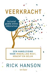 Veerkracht - Rick Hanson - 9789025906863