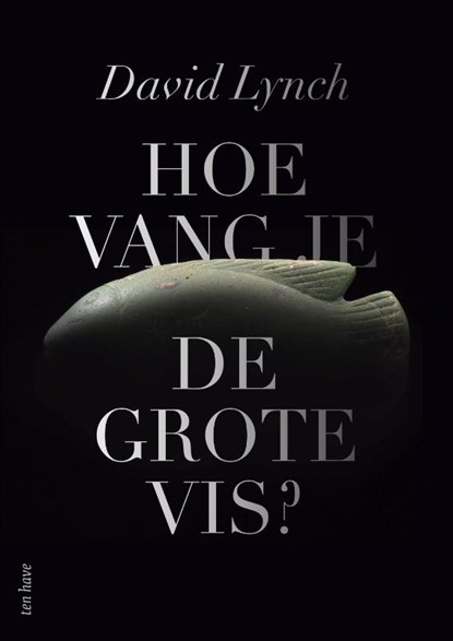 Hoe vang je de grote vis?, David Lynch - Gebonden - 9789025907099
