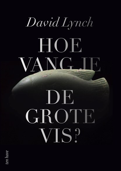 Hoe vang je de grote vis?, David Lynch - Ebook - 9789025907105