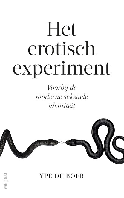 Het erotisch experiment, Ype de Boer - Ebook - 9789025907129