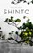 Shinto, Paul de Leeuw - Paperback - 9789025907839