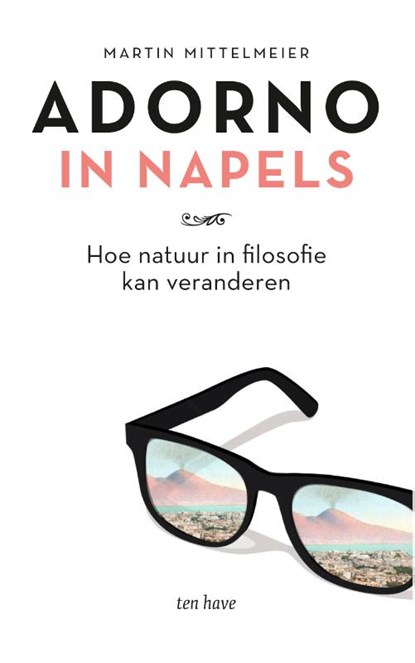 Adorno in Napels, Martin Mittelmeier - Paperback - 9789025908676
