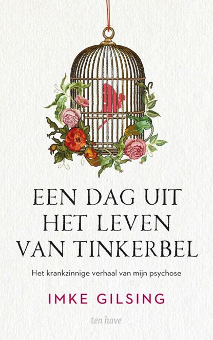 Een dag uit het leven van Tinkerbel, Imke Gilsing - Paperback - 9789025908904