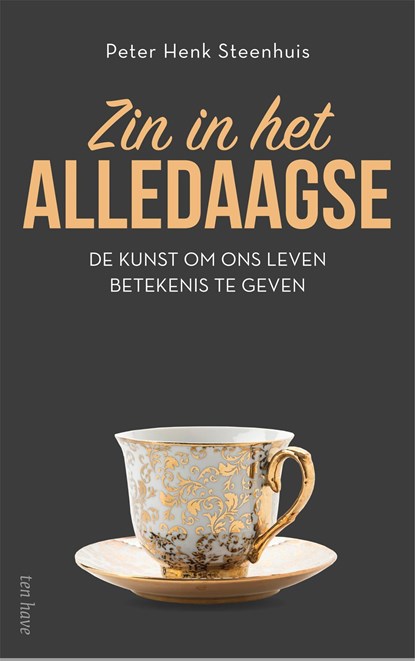 Zin in het alledaagse, Peter Henk Steenhuis - Ebook - 9789025909123