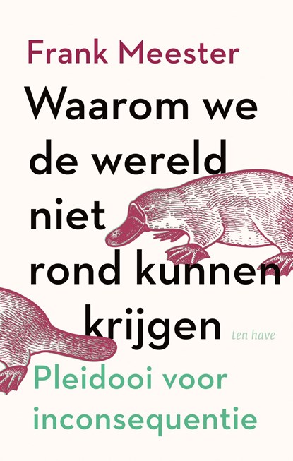 Waarom we de wereld niet rond kunnen krijgen, Frank Meester - Ebook - 9789025909154