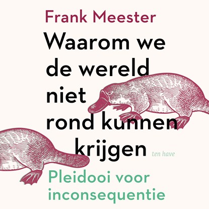 Waarom we de wereld niet rond kunnen krijgen, Frank Meester - Luisterboek MP3 - 9789025909161