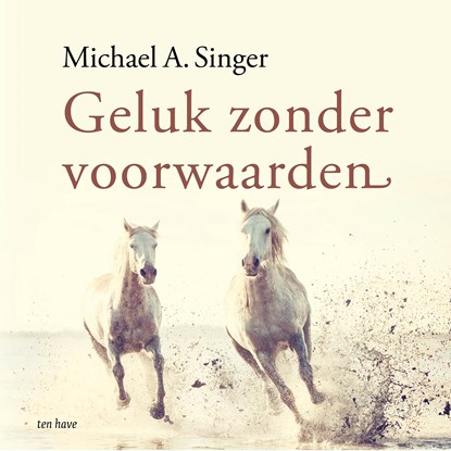 Geluk zonder voorwaarden, Michael A. Singer - Luisterboek MP3 - 9789025913632