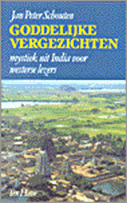 Goddelijke vergezichten, Schouten, J.P. - Paperback - 9789025946449