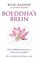 Boeddha`s brein, Rick Hanson - Paperback - 9789025961749