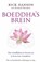 Boeddha`s brein, Rick Hanson - Paperback - 9789025961749