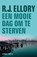 Een mooie dag om te sterven, ELLORY, R.J. - Paperback - 9789026128110