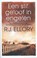 Een stil geloof in engelen, R.J. Ellory - Paperback - 9789026133619