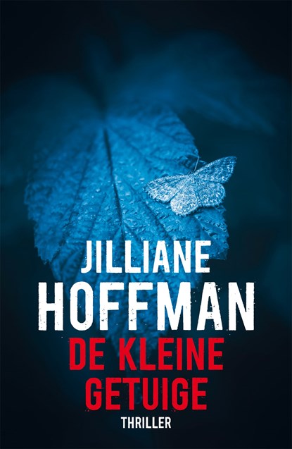 De kleine getuige, Jilliane Hoffman - Ebook - 9789026139314
