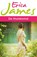 De thuiskomst, Erica James - Paperback - 9789026139925