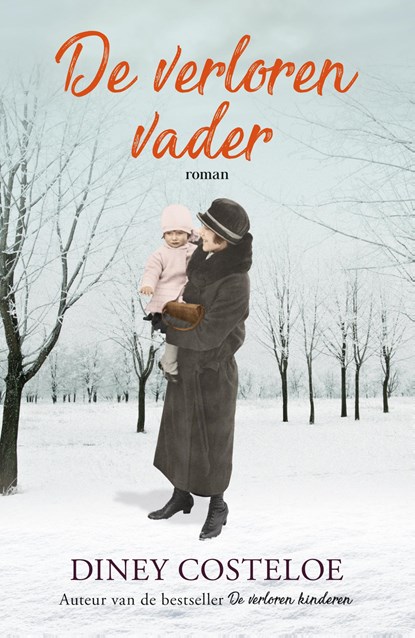 De verloren vader, Diney Costeloe - Paperback - 9789026149658