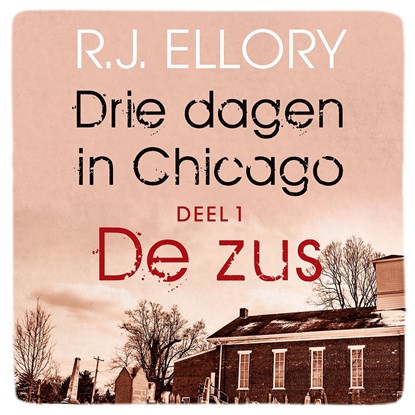 De zus, R.J. Ellory - Luisterboek MP3 - 9789026151651