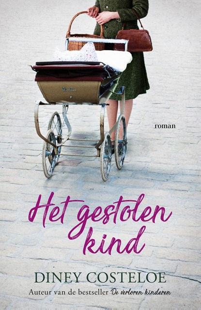 Het gestolen kind, Diney Costeloe - Ebook - 9789026158452