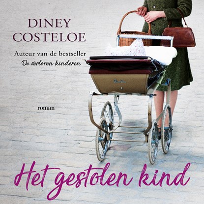 Het gestolen kind, Diney Costeloe - Luisterboek MP3 - 9789026158469