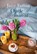 Op de man af, Jane Fallon - Paperback - 9789026162343