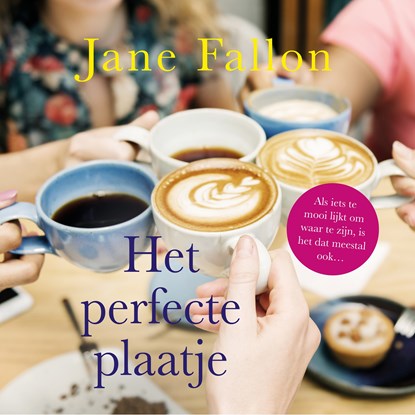 Het perfecte plaatje, Jane Fallon - Luisterboek MP3 - 9789026163302