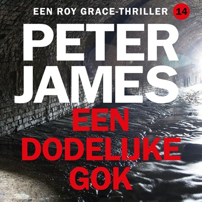 Een dodelijke gok, Peter James - Luisterboek MP3 - 9789026167645